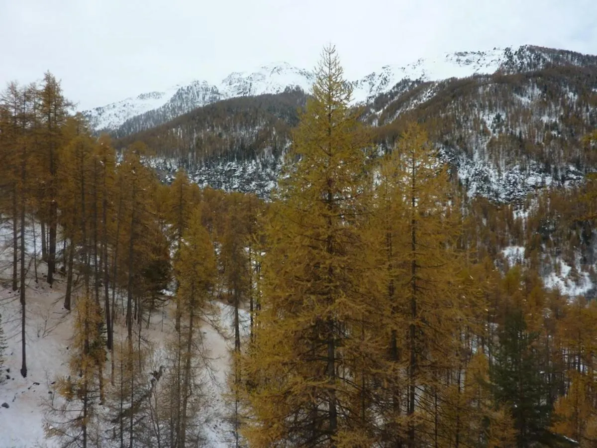 Studio Cosy 4 Pers, Balcon Sud, Acces Rapide Aux Pistes, Equipements Complets Les Orres 0*,